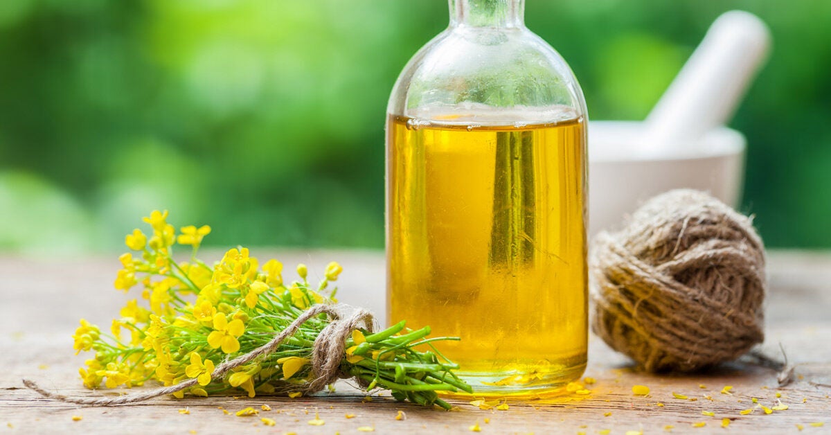 Is Canola Oil Good For You Or Bad