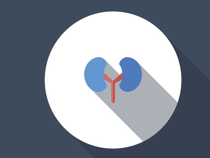 Kidney Function Tests Purpose, Types, and Procedure