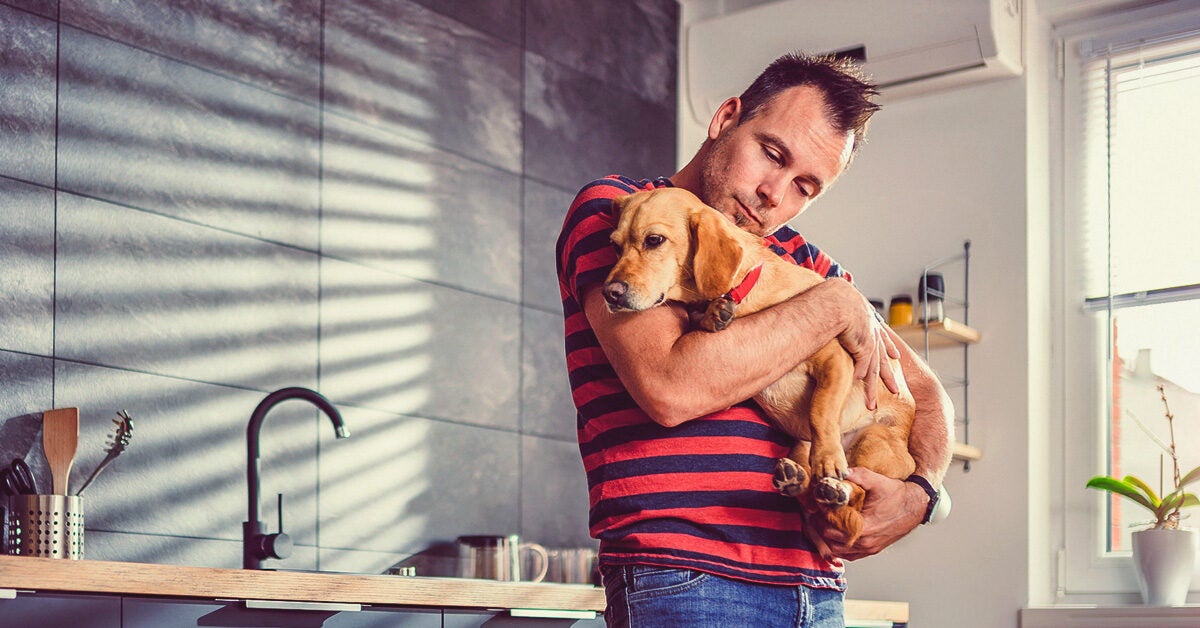 Are Emotional Support Dogs Allowed In Apartments