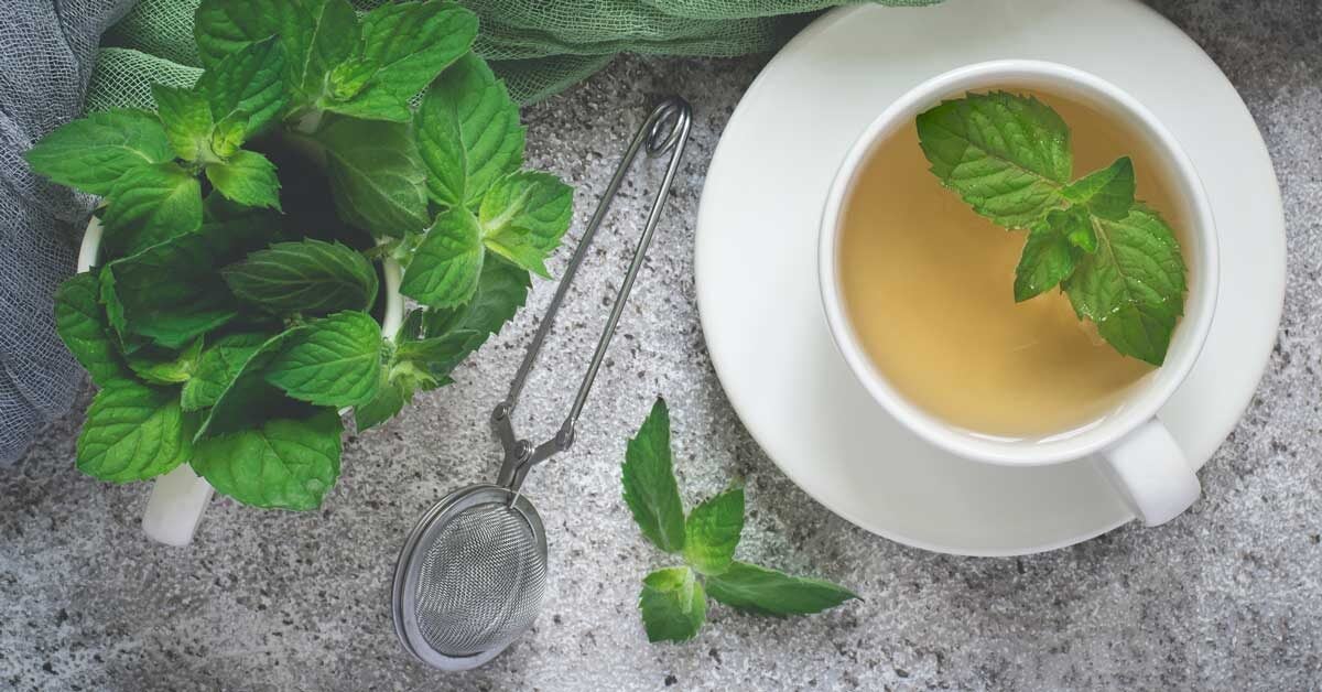 Does Peppermint Tea Help With Headaches 