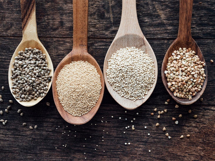 Animal vs. Plant Protein — What's the Difference?