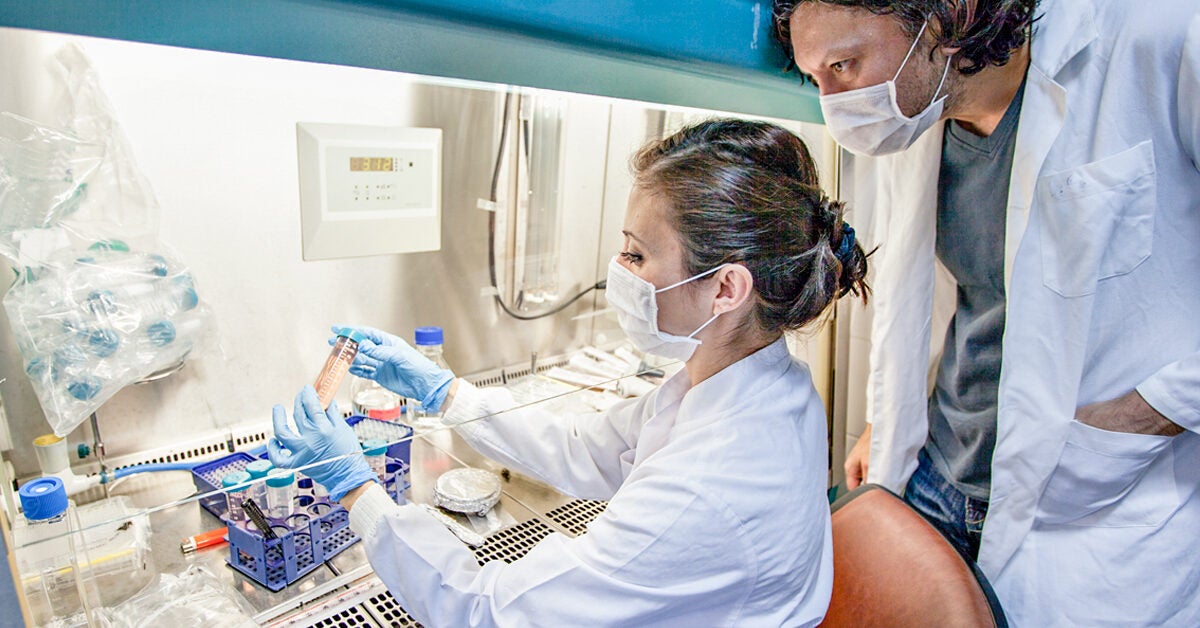 Chronic Lymphocytic Leukemia (Cll) Cure: Are We Close?