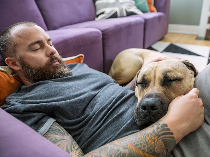 Muscle relaxers for dogs