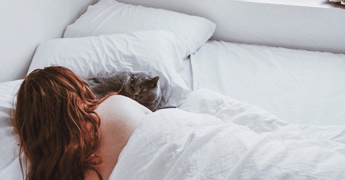 Cats Sleeping in Your Bed: A Good Idea?