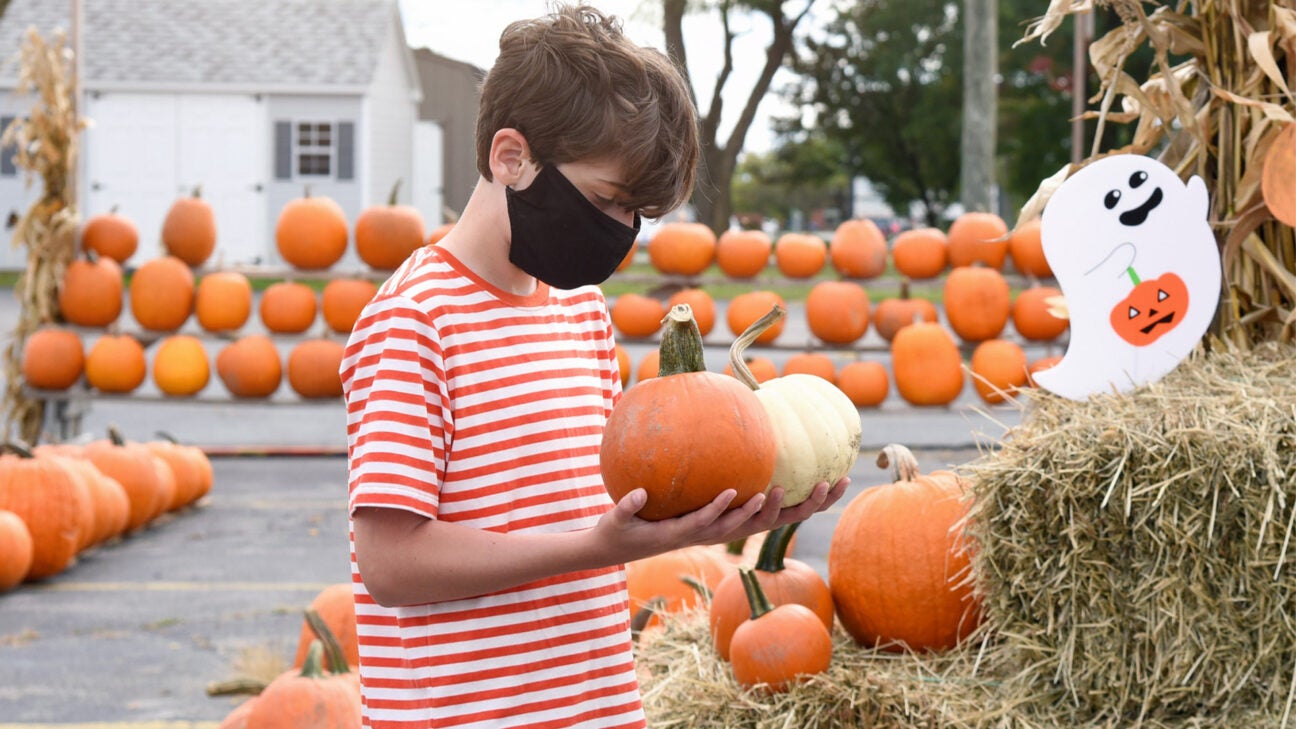 6 Safer Ways to Celebrate Halloween During COVID19 6 Safer Ways to Celebrate Halloween During COVID19