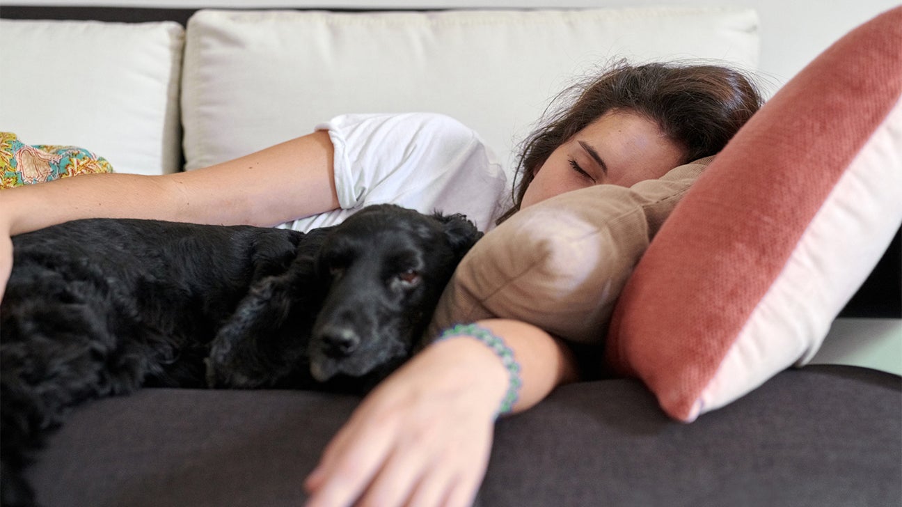 Dog Share Ka Bf Xxx - How to Take a Nap: Benefits of Napping and Steps to Take