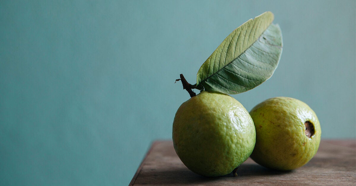 Do Guava Leaves Aid Weight Loss?