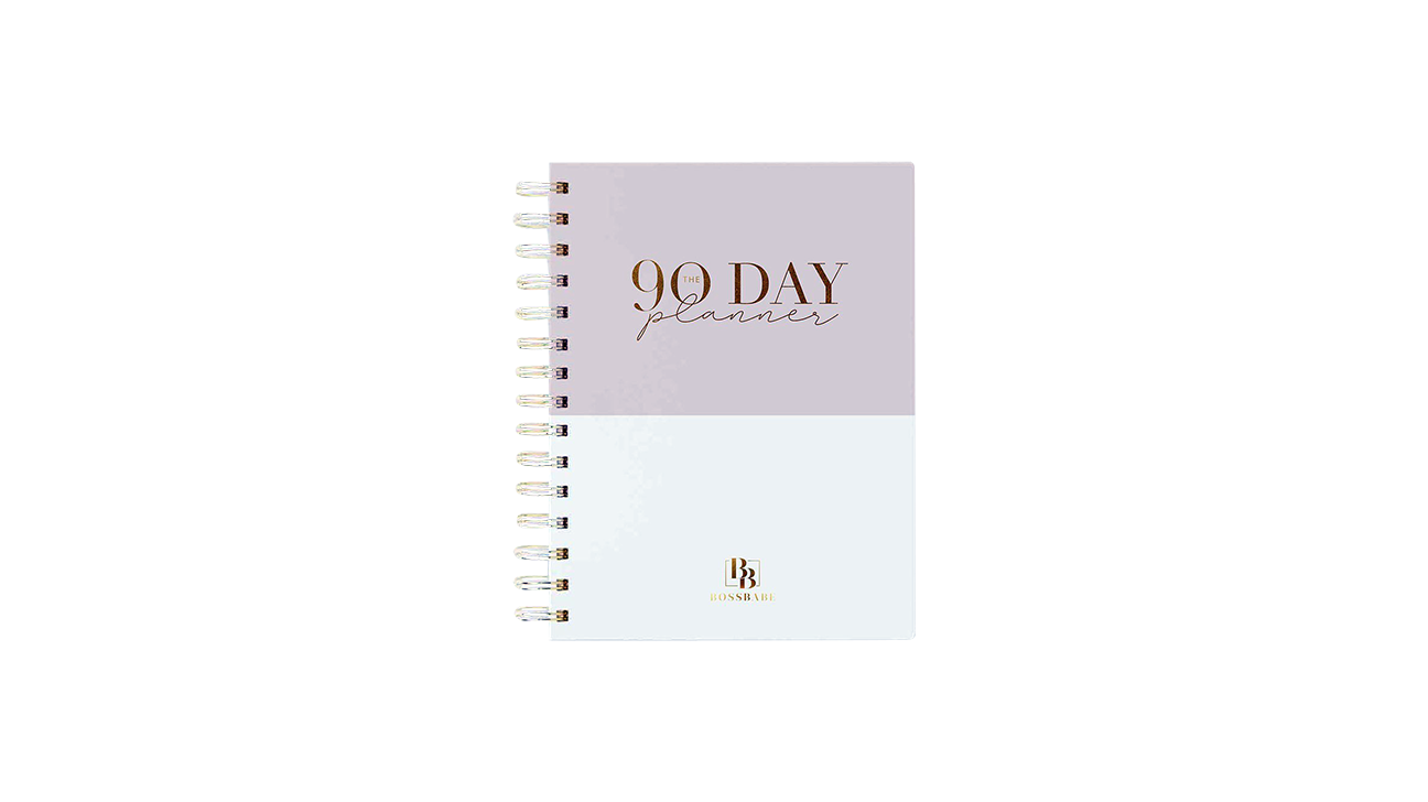 Lux Productivity Planner Review (Day to a page planner with dot