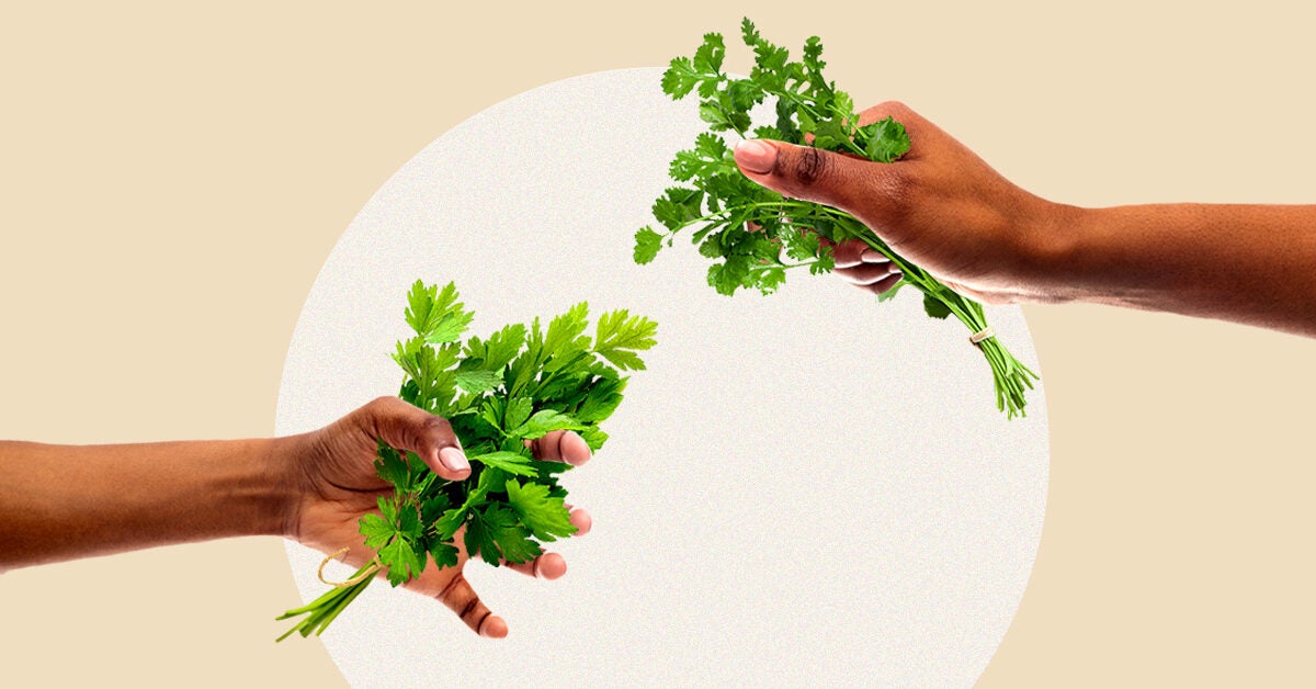 Parsley vs. Cilantro What's the Difference?