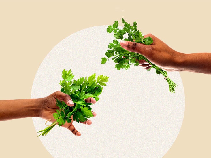 Parsley vs. Cilantro: What's the Difference?