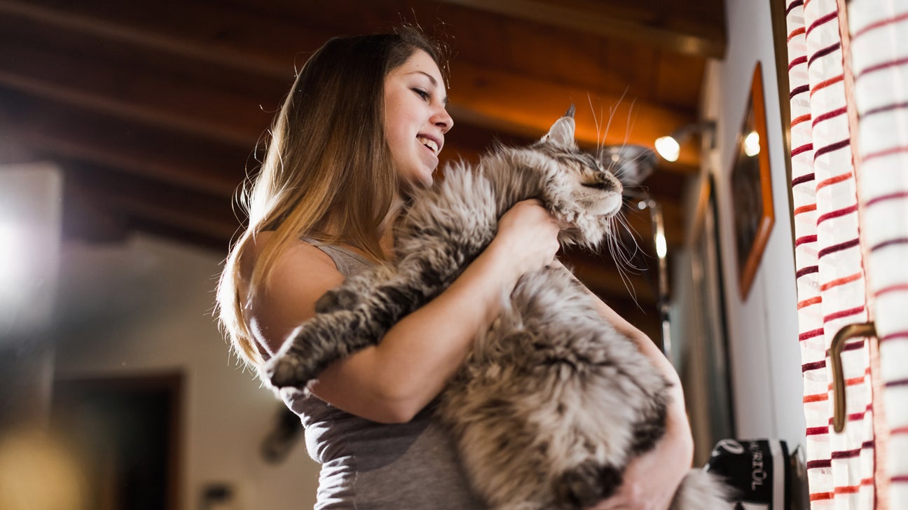 How to deal with an irritated cat; expert suggests 5 tips