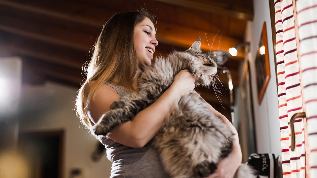 Your Cats Can Tell When You're Speaking to Them