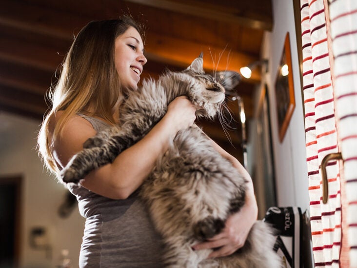 Can Your Cat Tell That You're Pregnant? Research Says Maybe