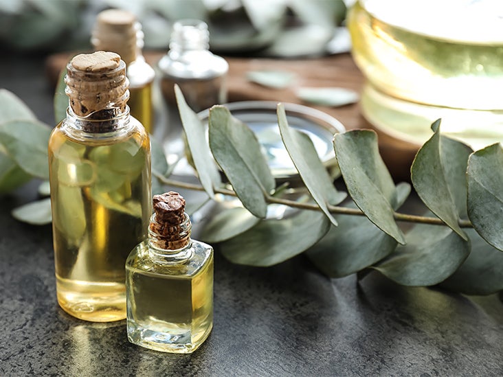 Eucalyptus Oil for Hair Growth Benefits  Applying Tips