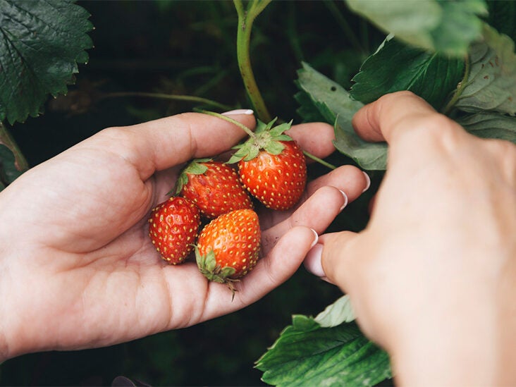 Can Strawberries Help You Lose Weight?