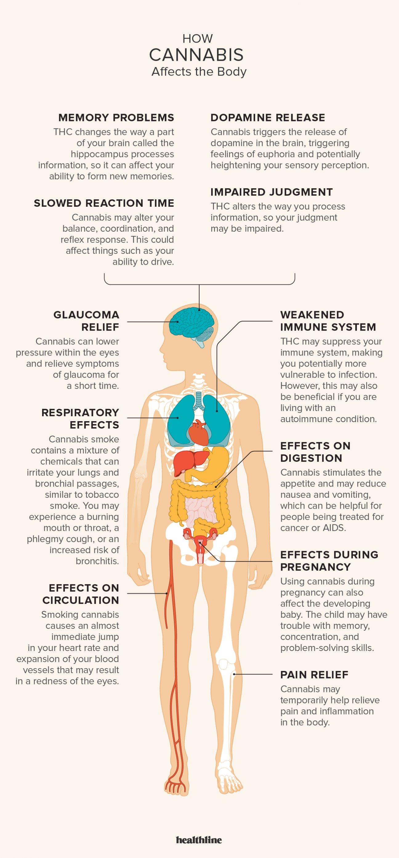 The Potential of Pot – Tobacco Reporter