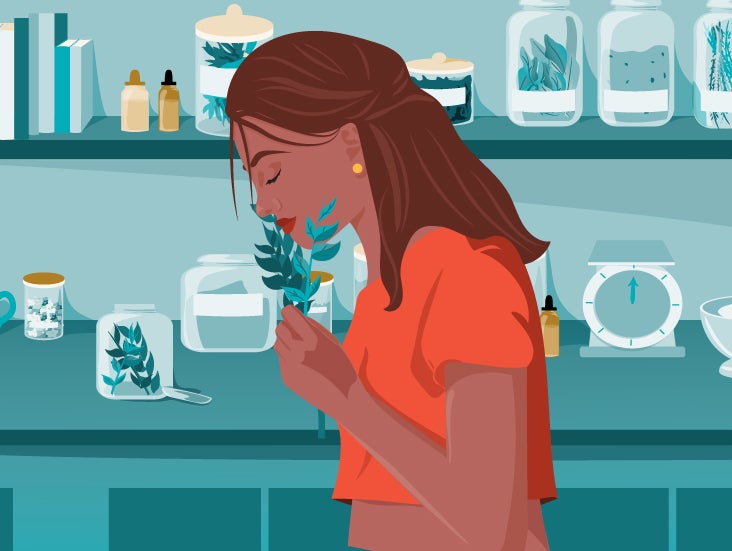 Herbal Medicine 101: How You Can Harness the Power of Healing Herbs