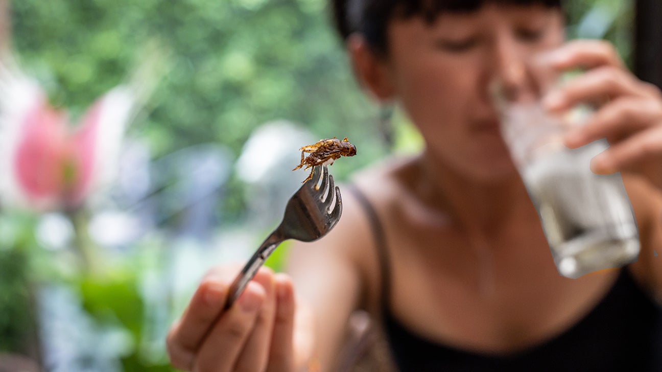 Eating Crickets Benefits and Downsides