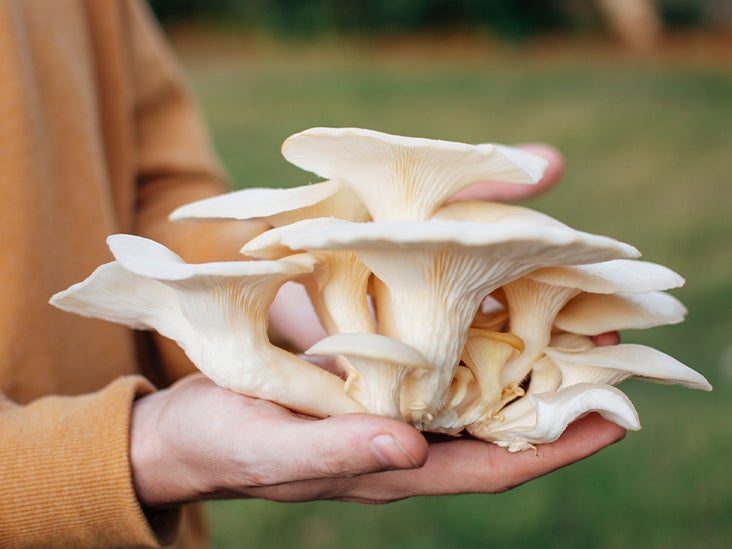 7 Impressive Benefits of Oyster Mushrooms
