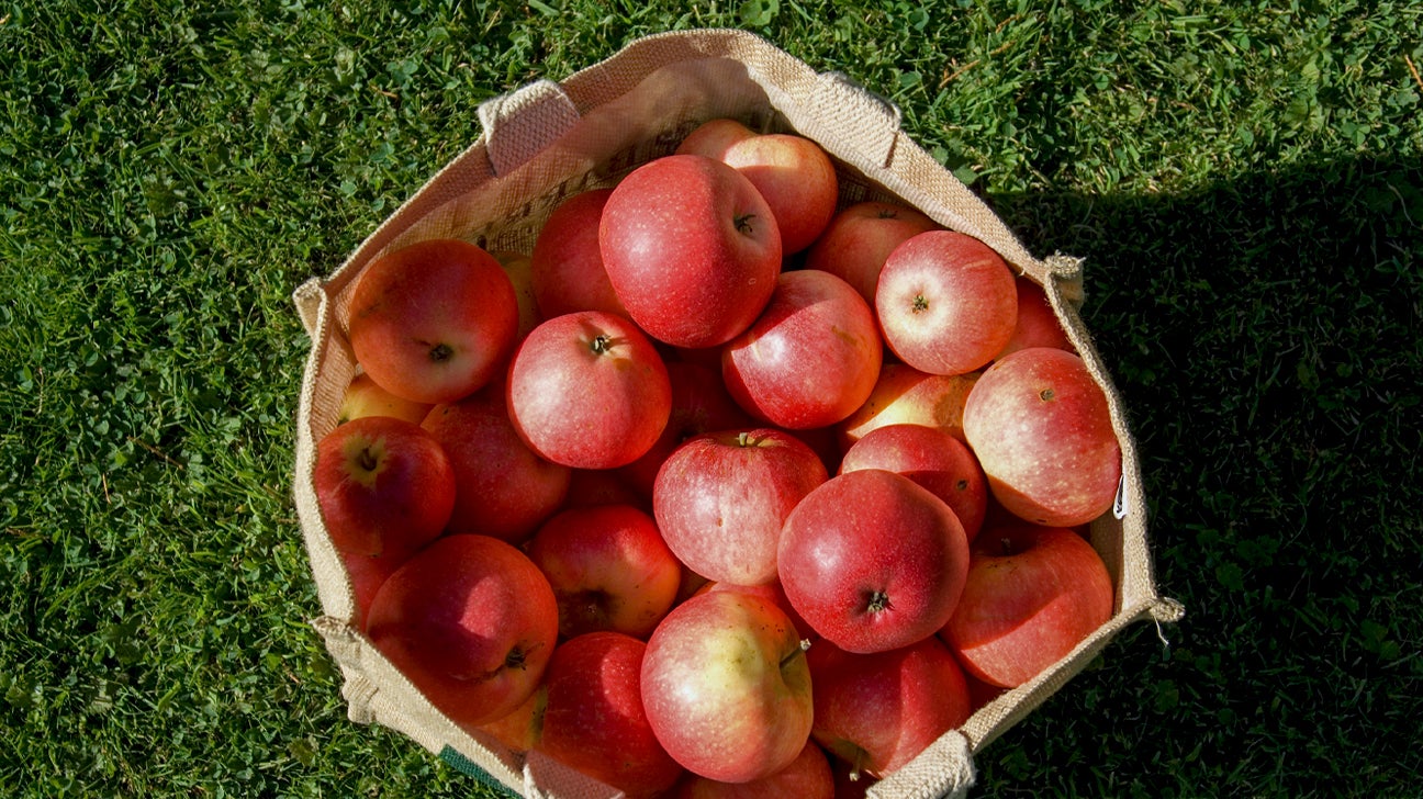 Fruit of the month: Apples - Harvard Health