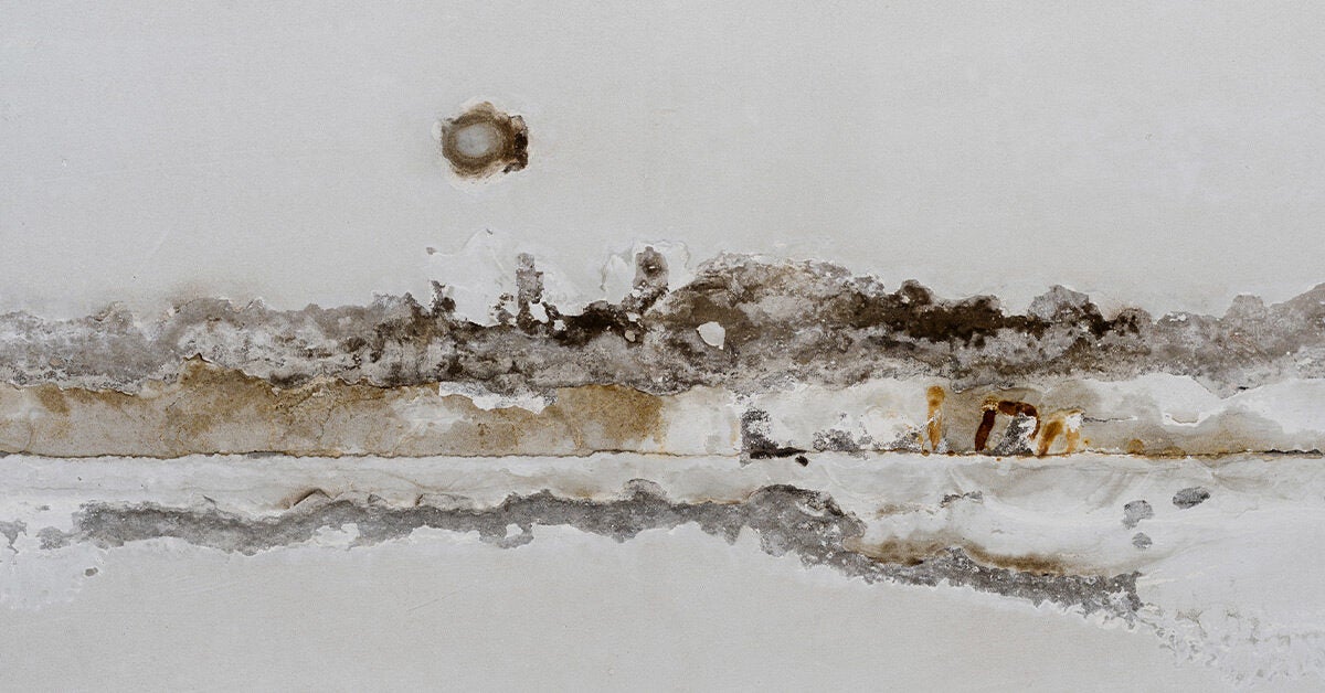 How Long Does It Take to Get Mold Poisoning? 