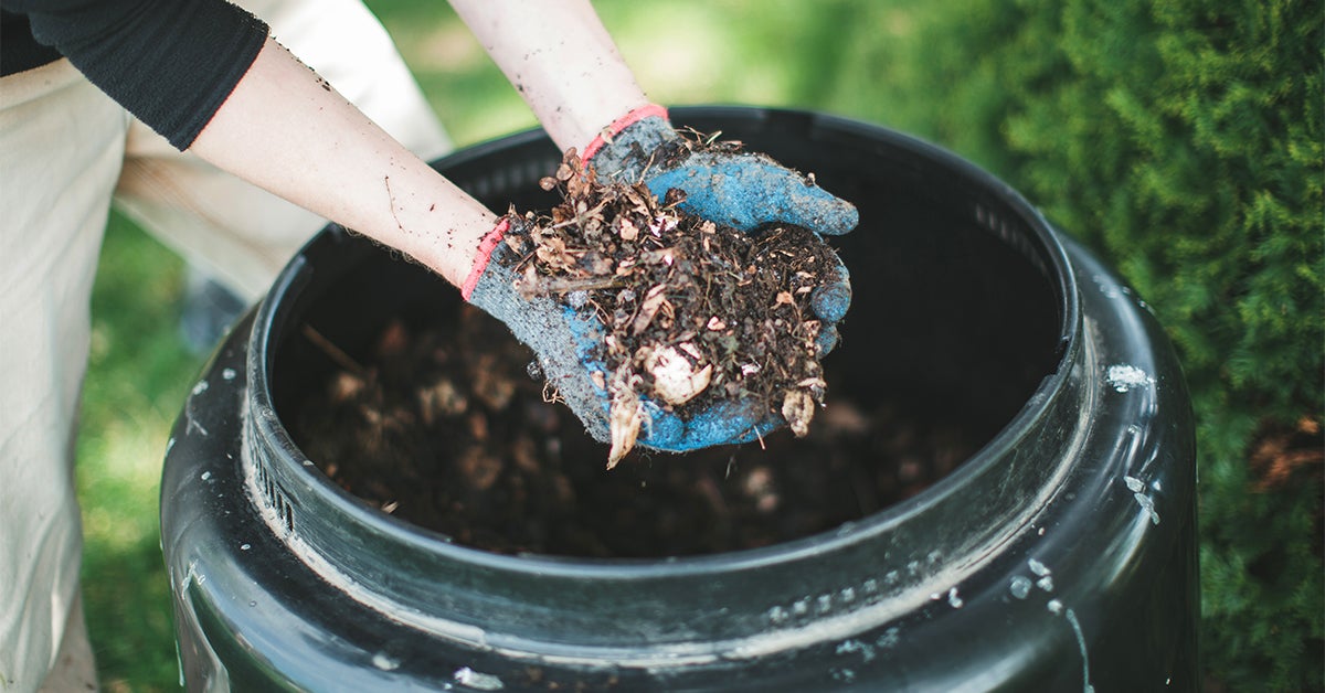 How Does Composting Work? – The Wholeleaf Company (Big Tree Packaging Ltd)