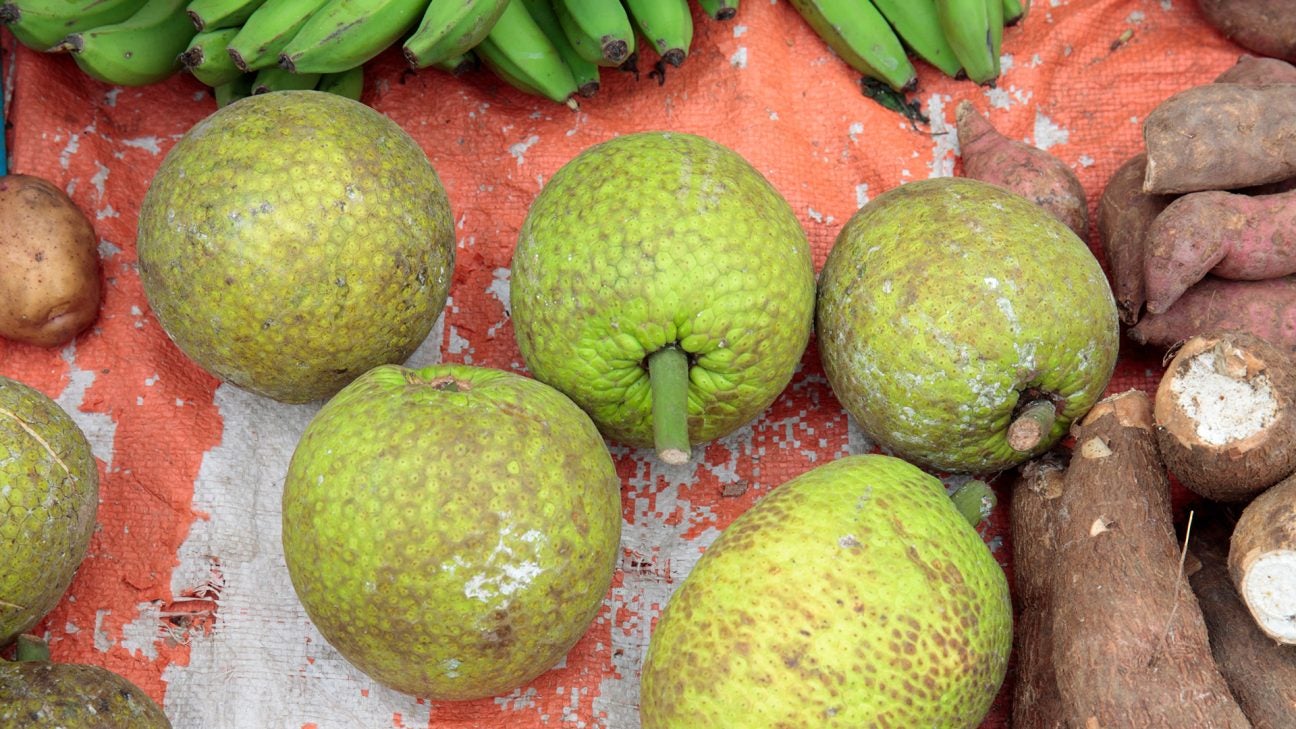 What Is Healthy Eating Without Cultural Foods?