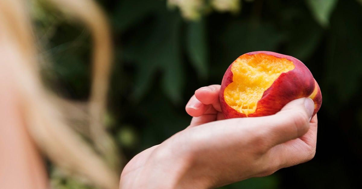 7 Science-Backed Health Benefits of Nectarines