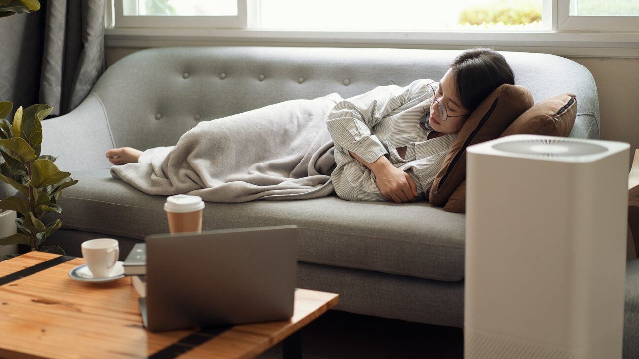 HEPA Air Filters for the Whole House: Options, HVAC & Tips