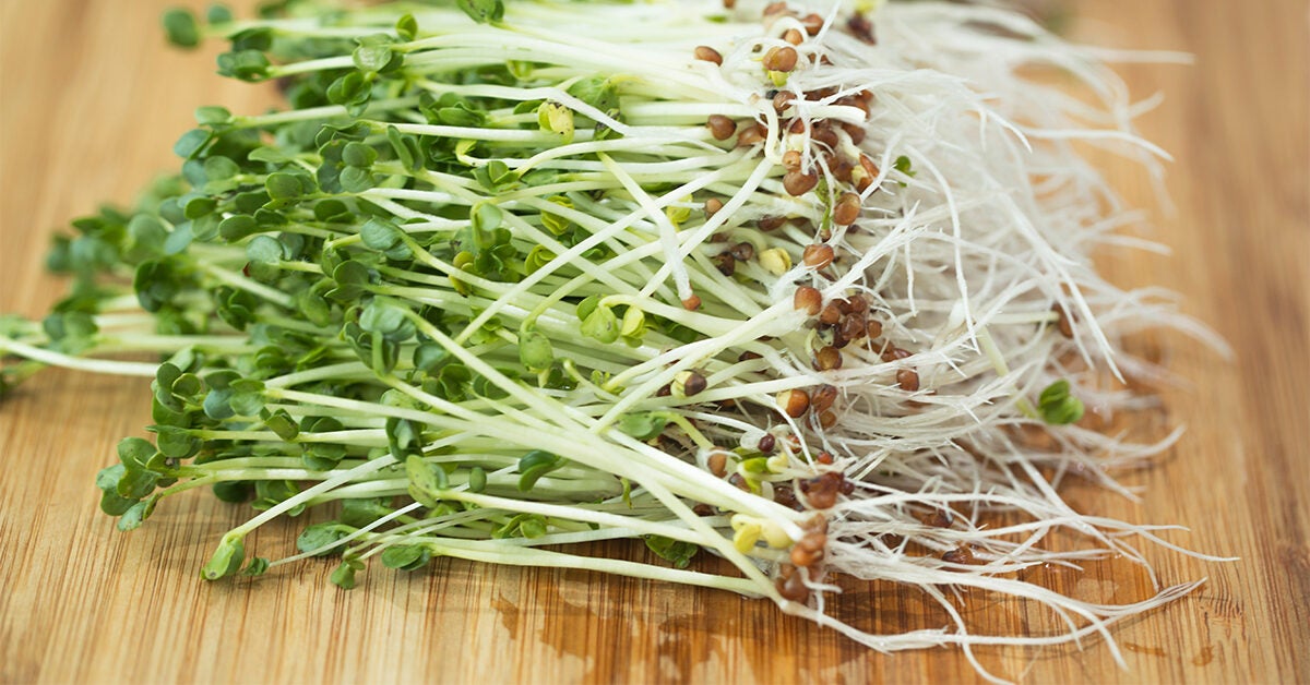 What Are Broccoli Sprouts?  Nutrition, Benefits and Recipes