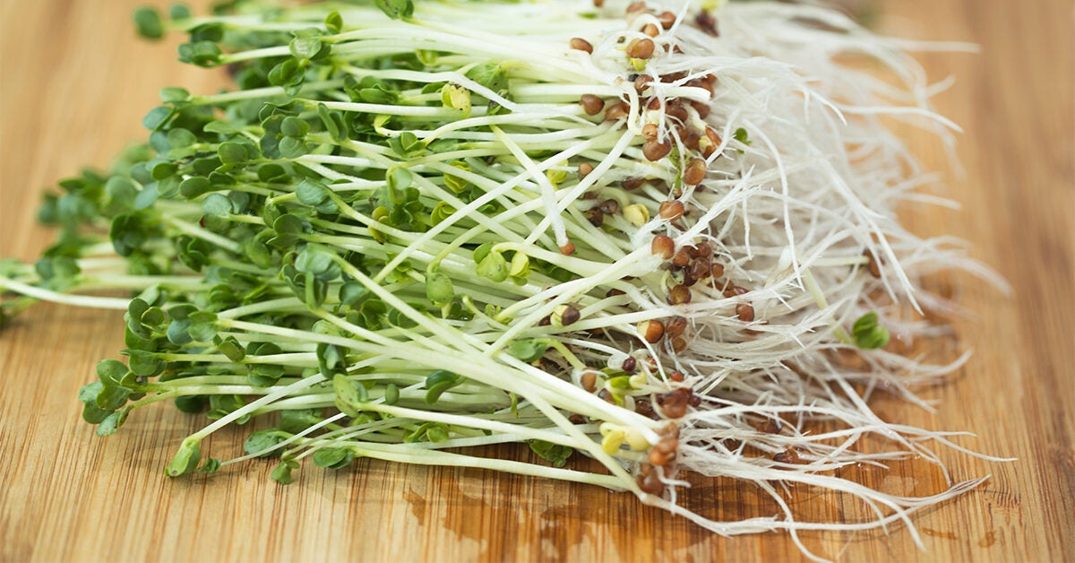 what-are-broccoli-sprouts-vitamins-advantages-and-recipes