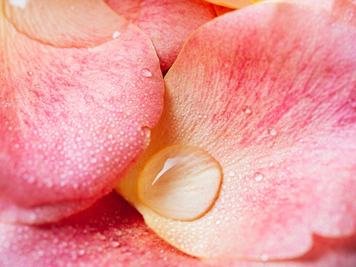 How to Make Your Own Rose Water for Beauty, Wellness, and Relaxation