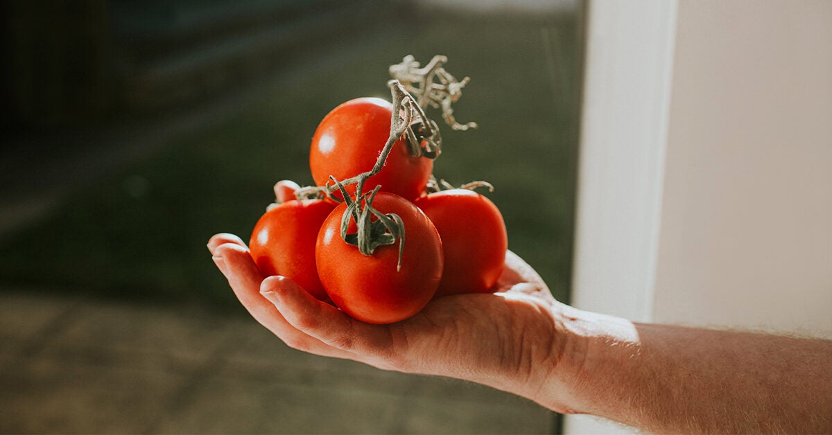 Easy Ways To Make Cut Tomatoes Last 2024 Atonce 5239