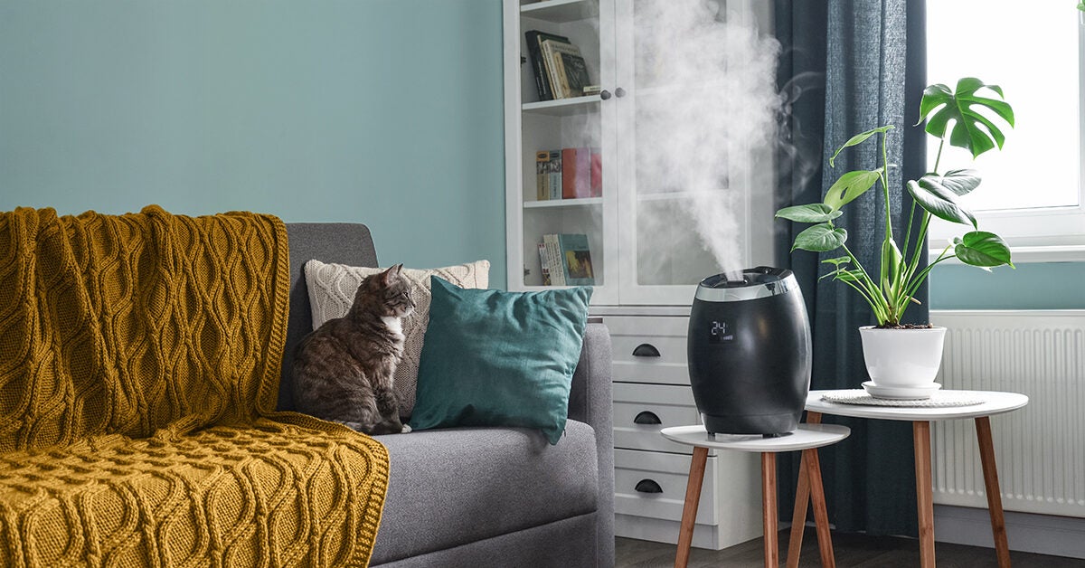 Does Humidifier Help With Sinus? 