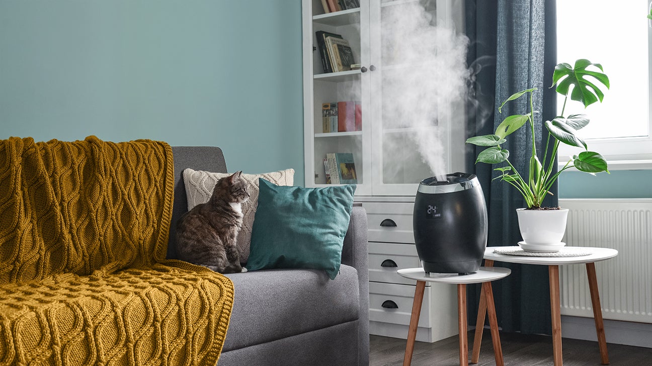 5 Things to Consider When Buying Lash Room Humidifier