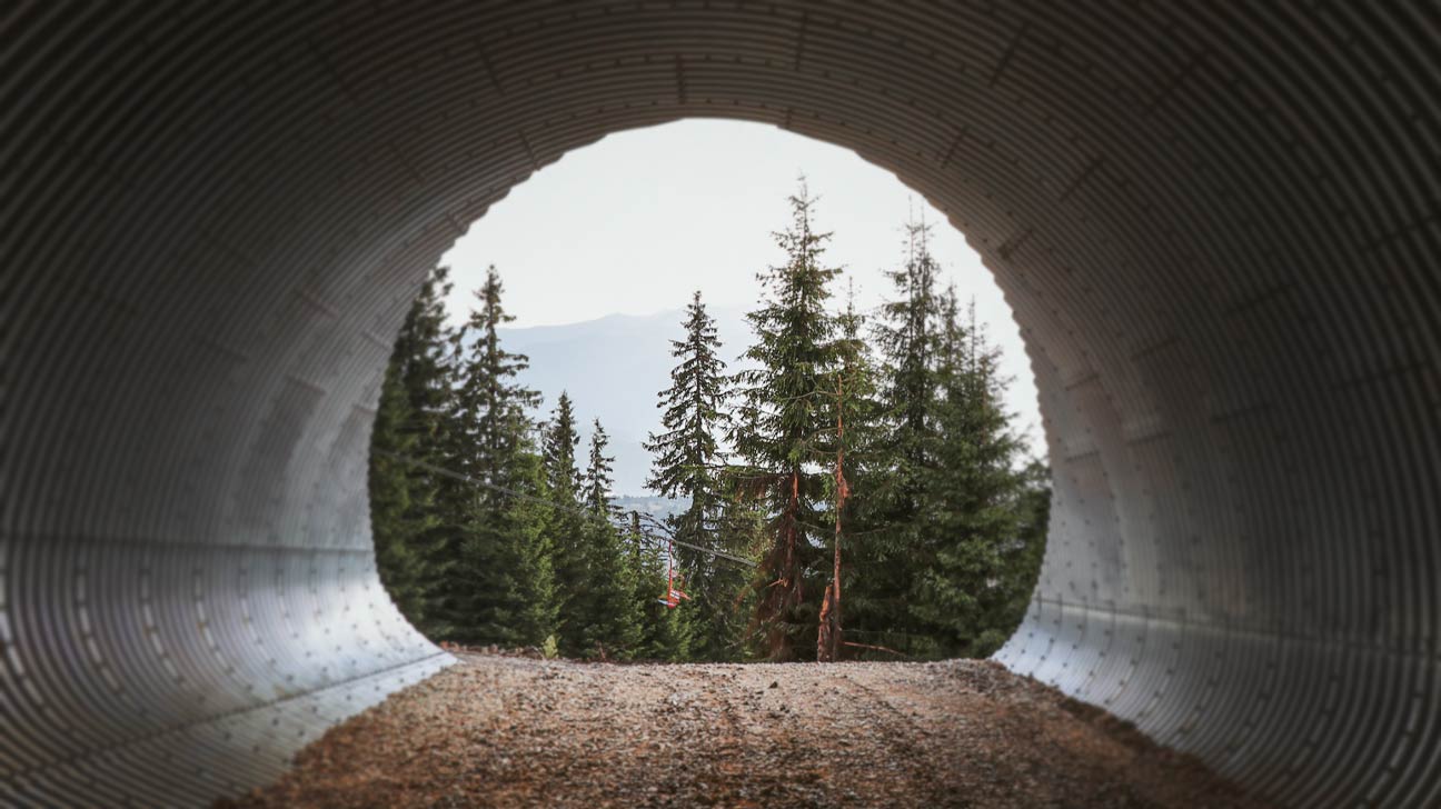 7 Causes of Tunnel Vision: Plus Symptoms, Treatment & More