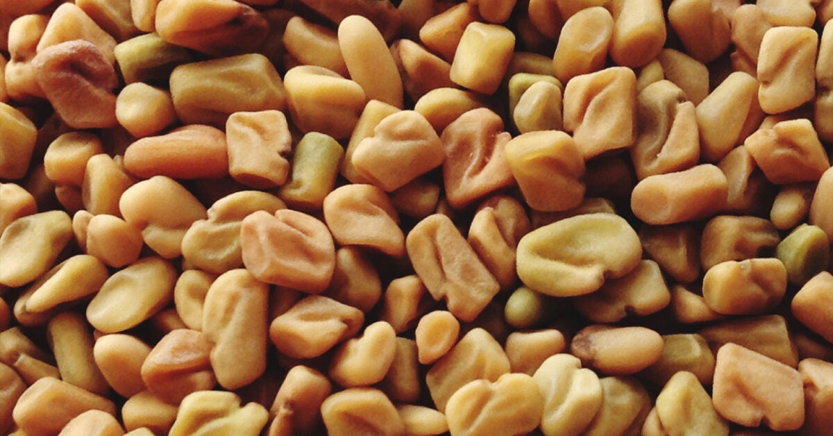 fenugreek