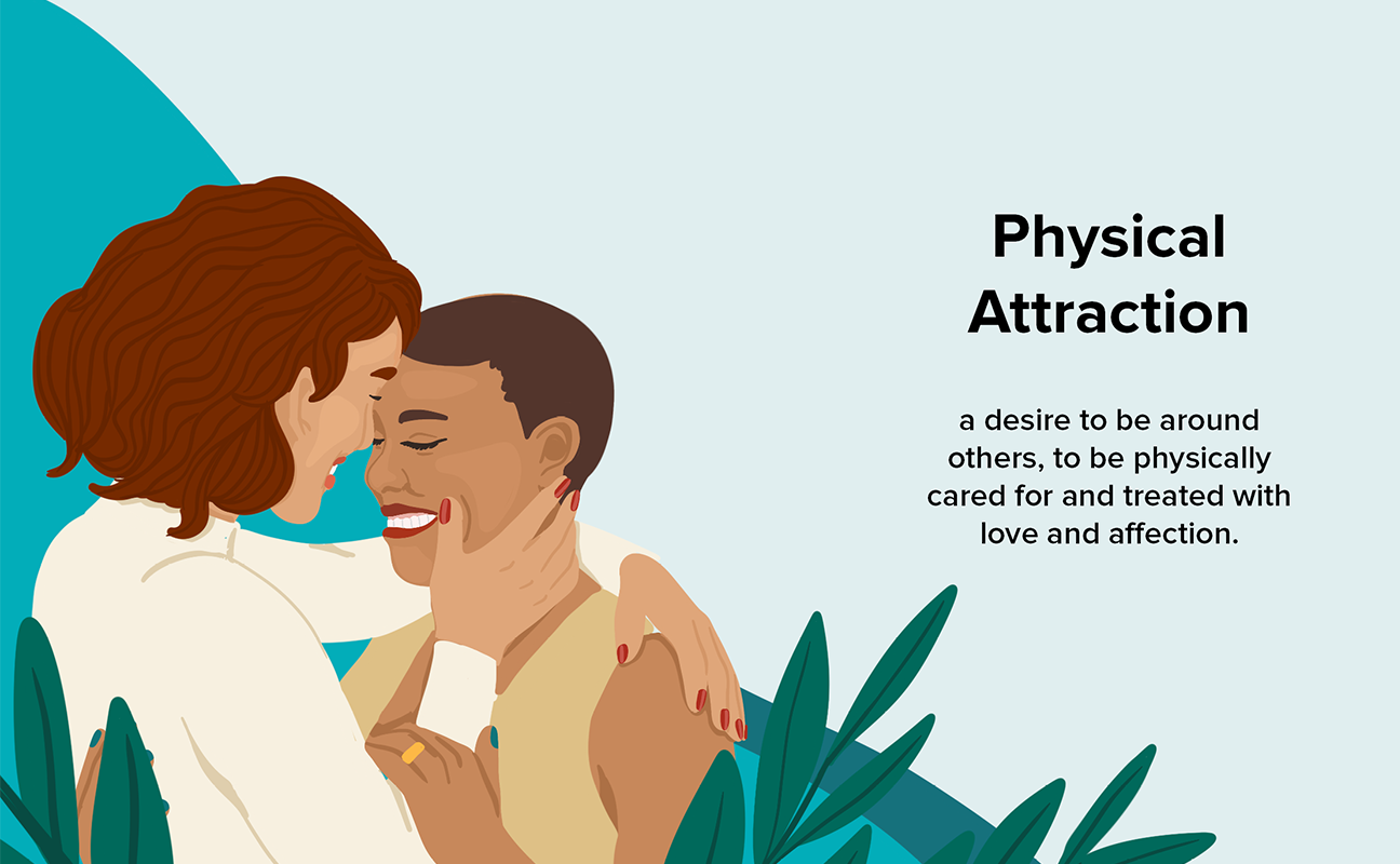 What does physically attracted mean