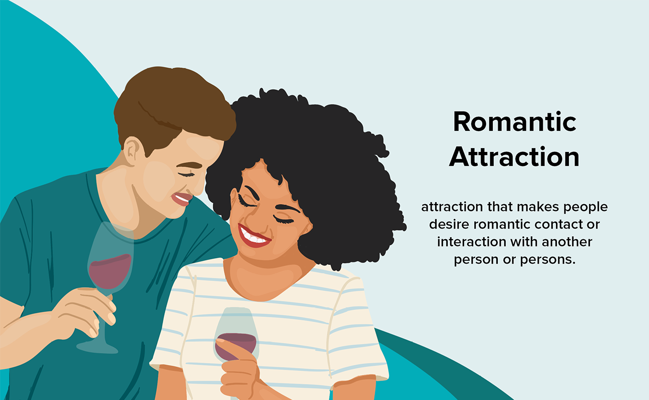 What Are The Different Types Of Attraction 37 Terms To Know