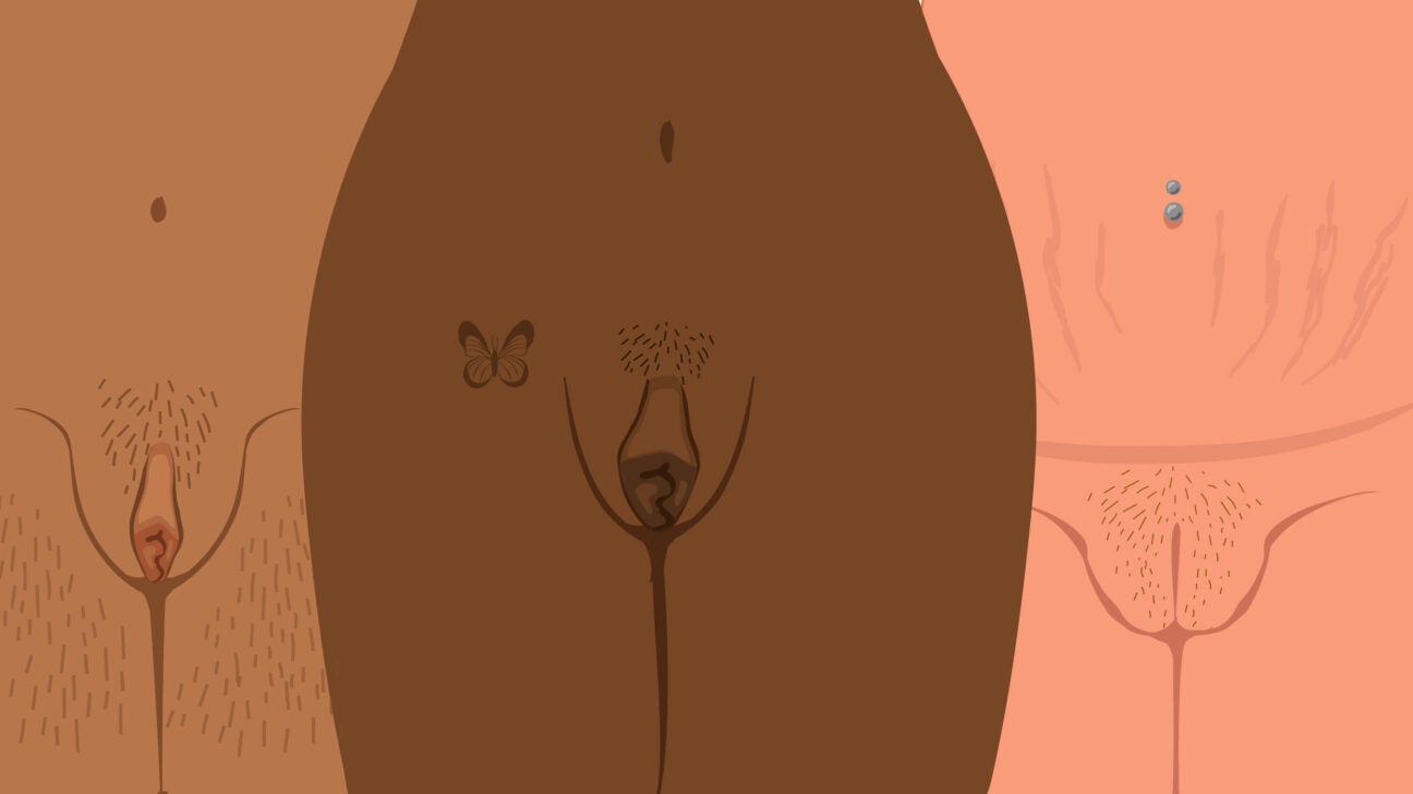 Labiya, klitoris va qinning fotosurati Labiya, klitoris va qinning fotosurati