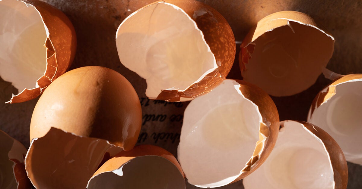 Eggs and Cholesterol — How Many Eggs Can You Safely Eat?