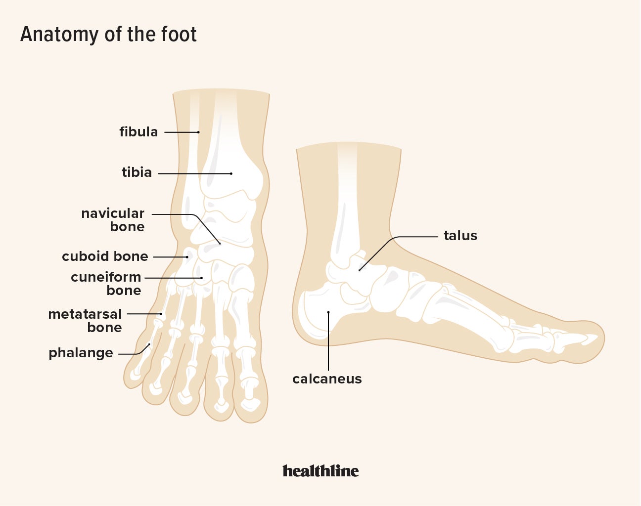 Reason for back deals foot pain