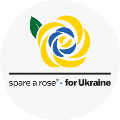 Spare a Rose for people with diabetes in Ukraine