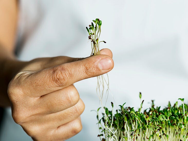 10 Benefits of Garden Cress and Garden Cress Seeds