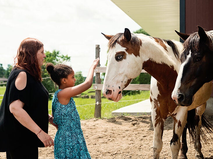 What Is Equine Therapy All About?