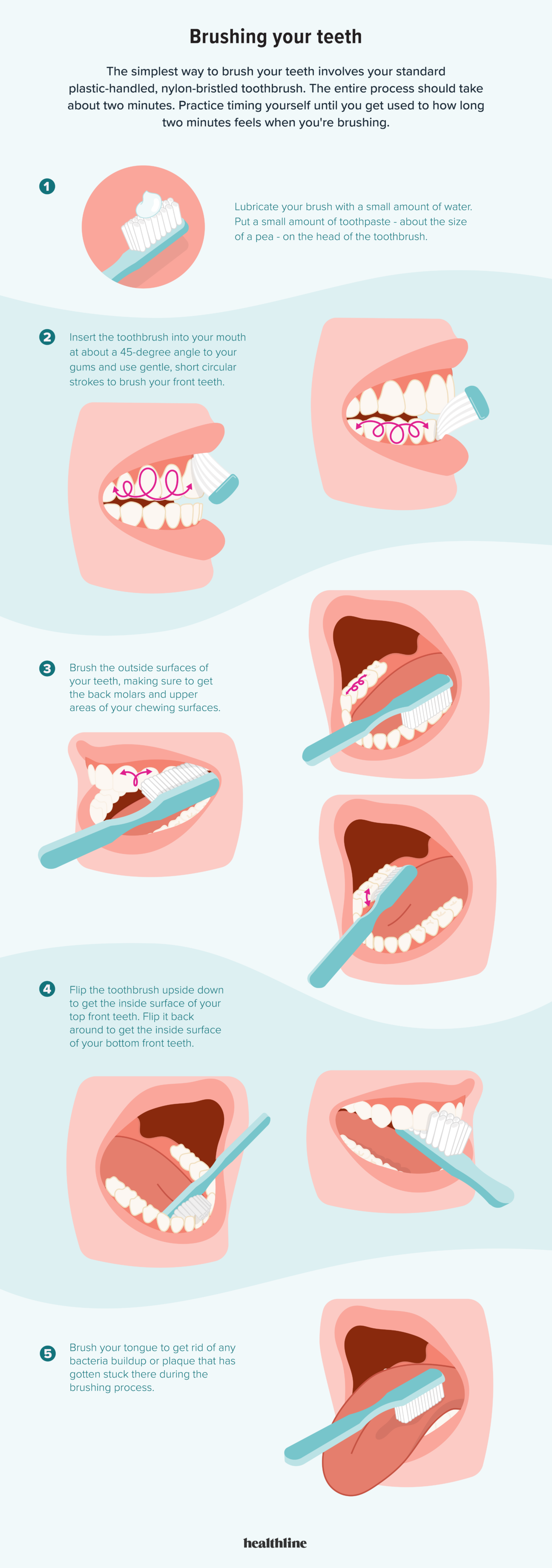 Step To Brush Your Teeth Cheap Supplier Save 46 Jlcatj gob mx