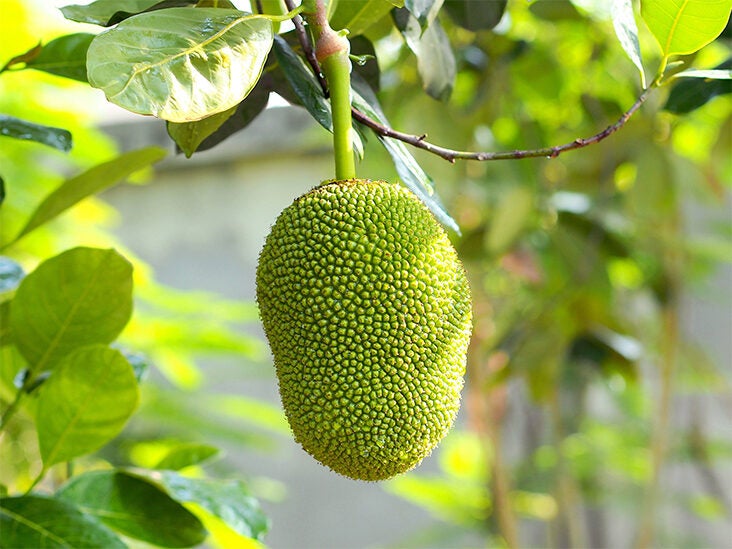 Jackfruit: What Is This Vegetarian Meat Alternative?