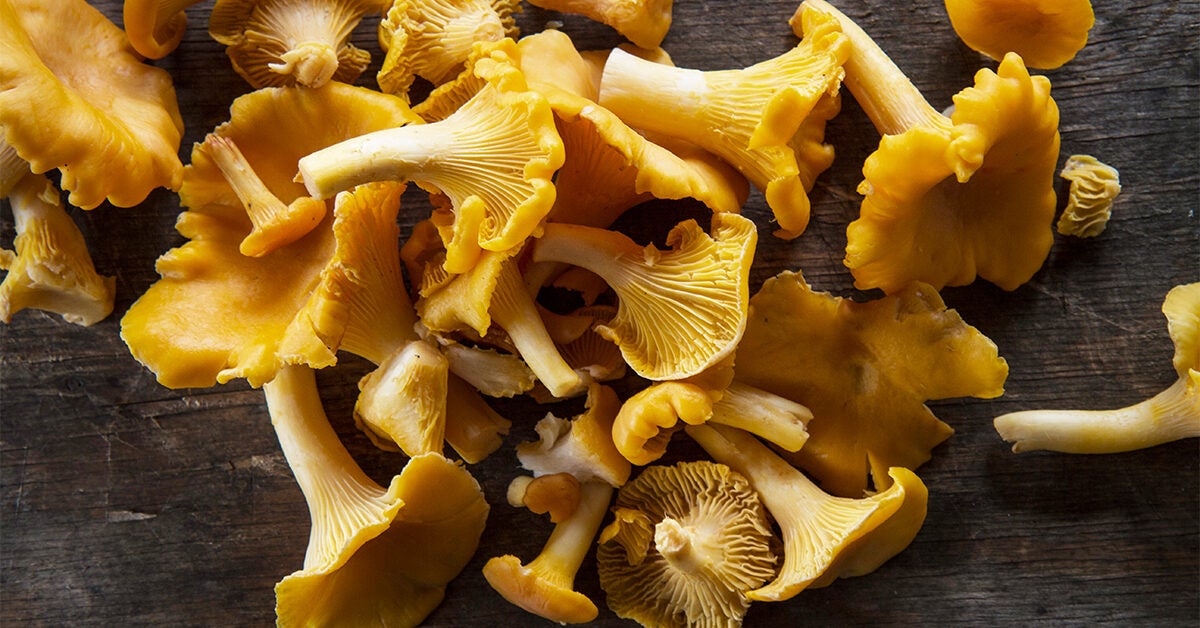 Chanterelle Mushrooms: Nutrients, Benefits, and Recipe
