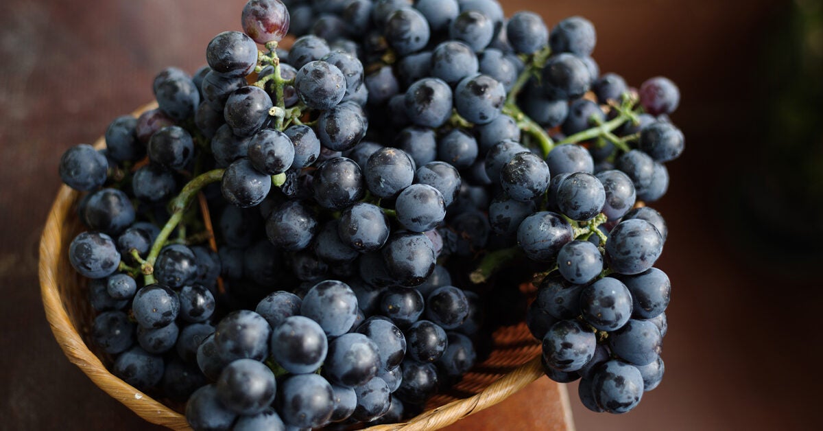 6 Unique Benefits of Black Grapes