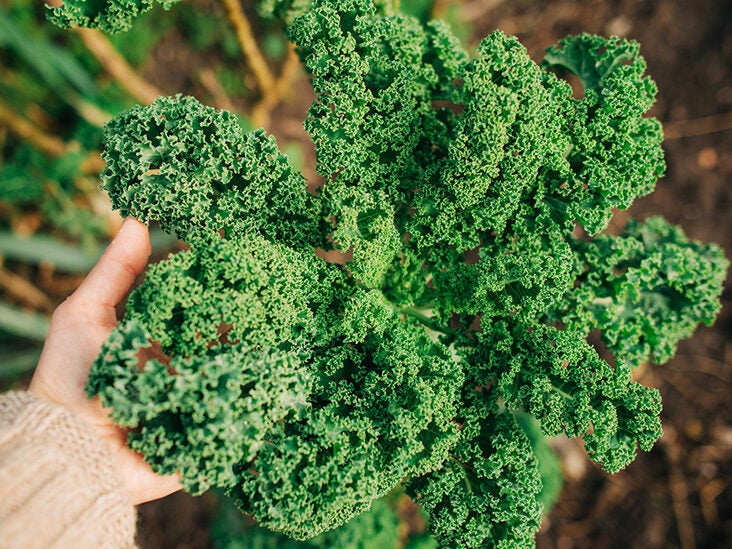 10 Delicious Types of Kale